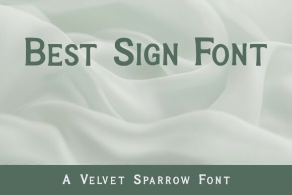 Best Sign: The Serif Typeface for Modern Editorial Design