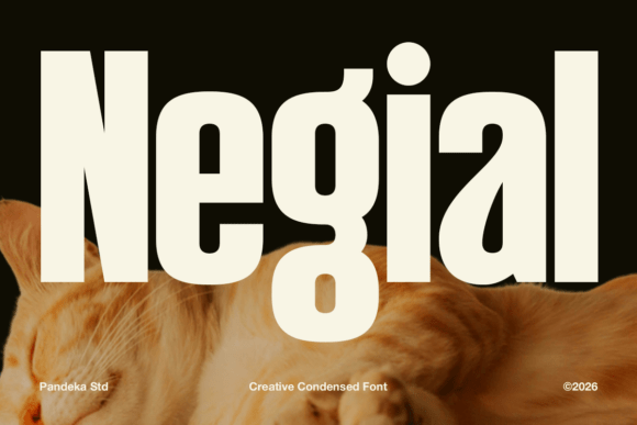 Negial: The Bold Typeface That Transformed My Small Business Brand